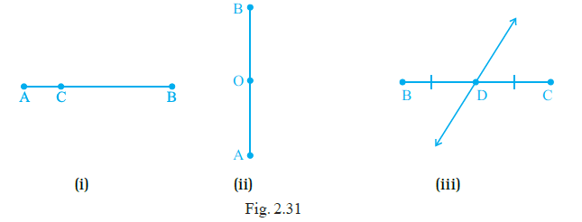 Page 31 Chapter 2 Class 6th NCERT Exemplar